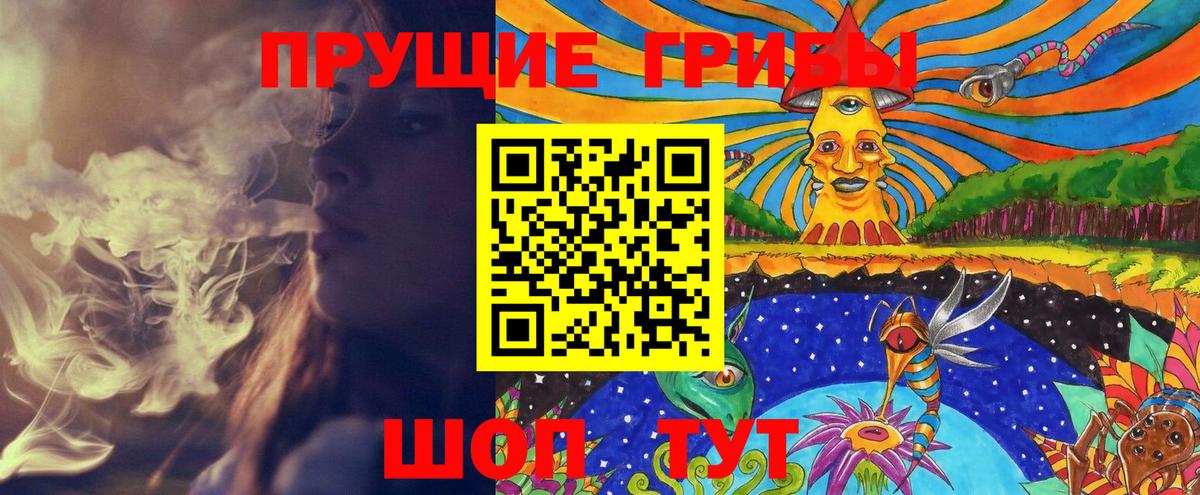 Псилоцибиновые грибы Psilocybe  Вход с VPN  Кимры 